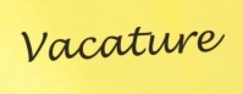 Vacature Chauffeur Binnenland